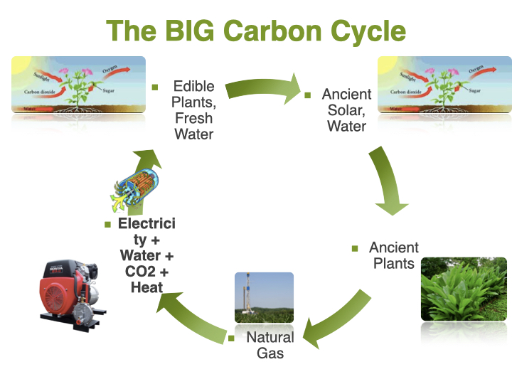 The Big Carbon Cycle diagram tying ancient plants and natural gas back into edible plants, fresh water, and electricity