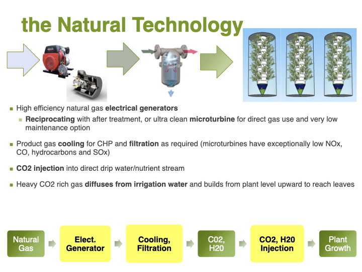 Process diagram for the Natural Garden system: natural gas to generator, cooling and filtration, CO2 and water injection, plant growth